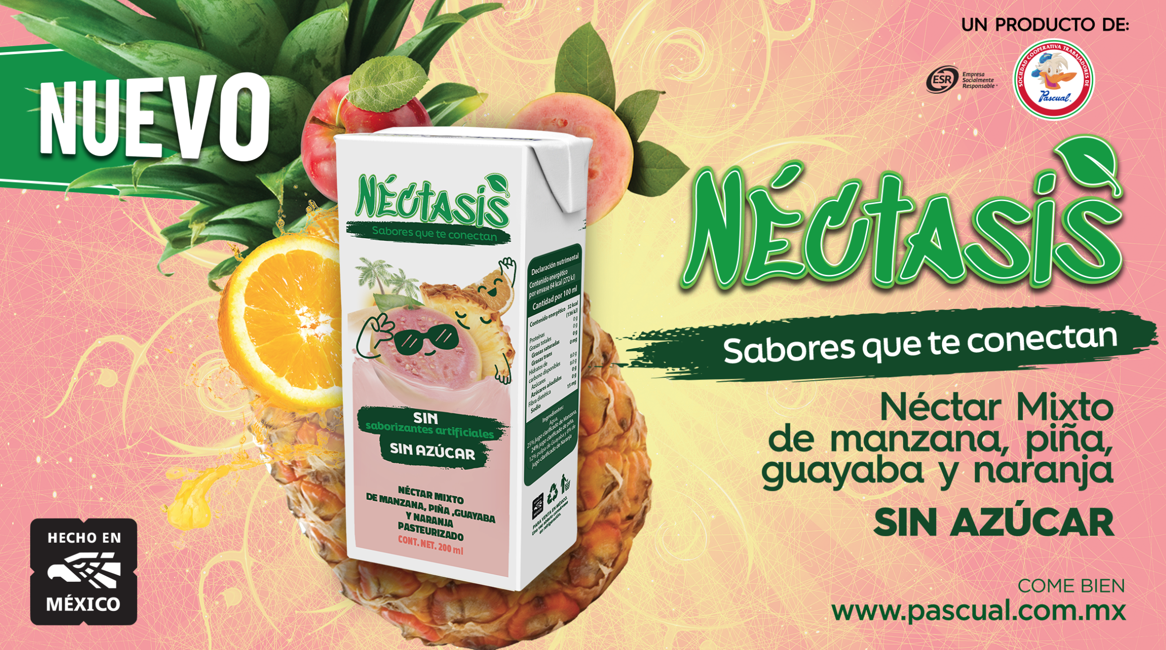 coorporativa pascual